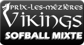 Vikings de Prix-l&egrave;s-M&eacute;zi&egrave;res