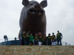Baseball Club de Charleville-Mzires - Ardennes - Razorbacks - Image aléatoire