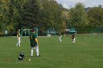 Baseball Softball Charleville: Fte du sport 2007