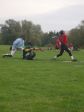 Baseball Charleville : Razorbacks vs Argancy